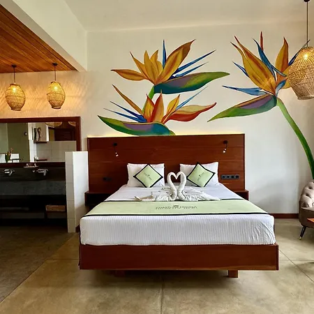 Coastline Mirissa Boutique Hotel And Spa Room photo