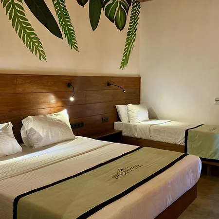 Coastline Mirissa Boutique Hotel And Spa Room photo