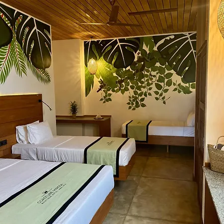 Coastline Mirissa Boutique Hotel And Spa Room photo