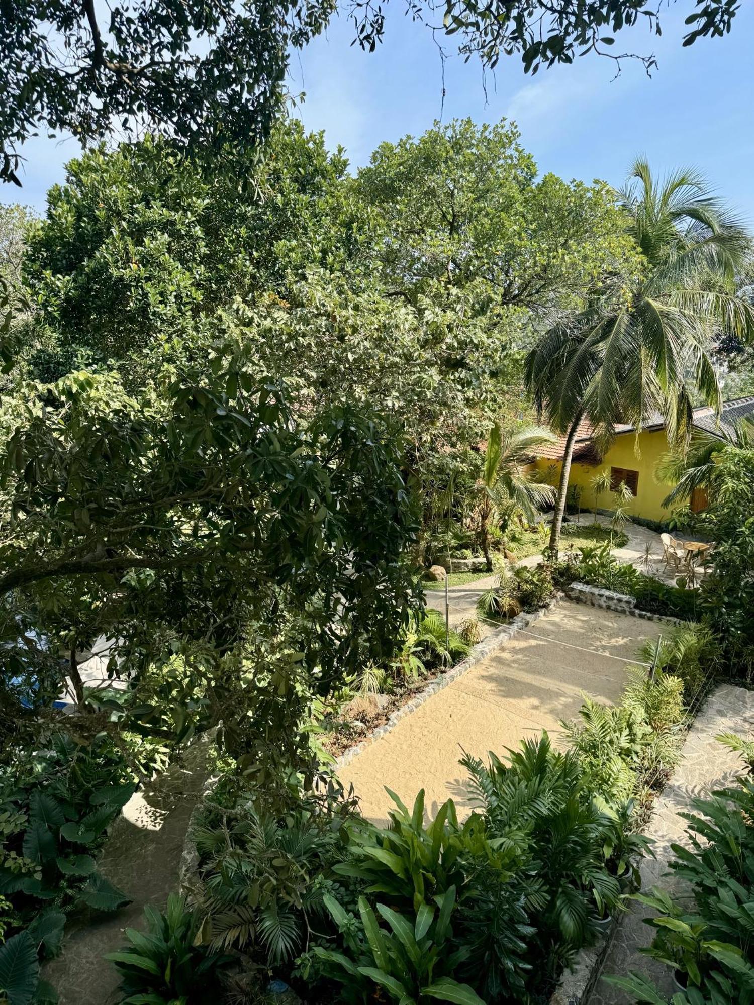 Hotel Coastline Boutique And 5*